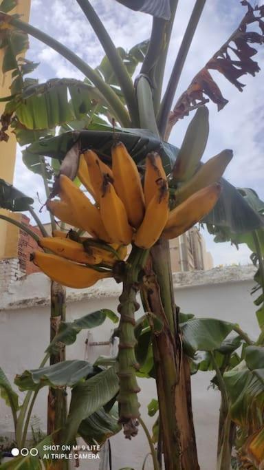 Precioso Apartamento Con A/A En Ruzafa Con Terracita Privada Y Acceso A Un Jardin, Para 2-3 Personas Valencia Eksteriør bilde